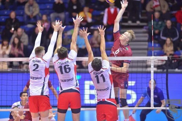 Волейбольная команда зенит казань. Суперлига волейбол команды. Казаченков локомотив новосибирск. Волейбольная команда зенит казань. Судьи суперлиги россии волейбол.