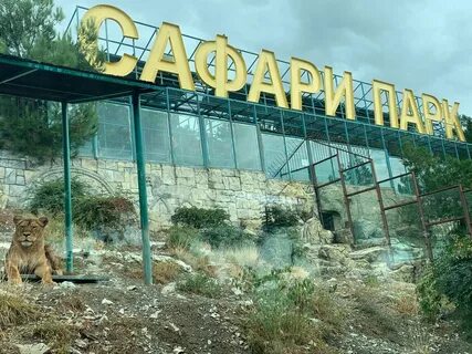 Геленджикский сафари парк