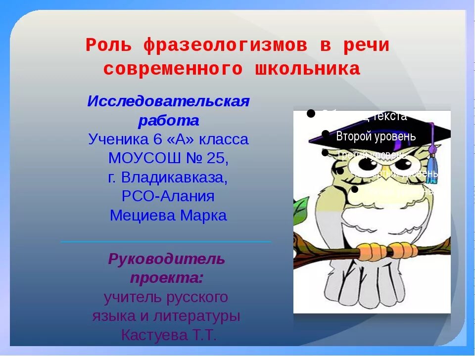 Роль фразеологизмов. Роль фразеологизмов в речи. Фразеологизмы в современном русском языке. Роль фразеологизмов в русском языке. Какая роль фразеологизма в тексте