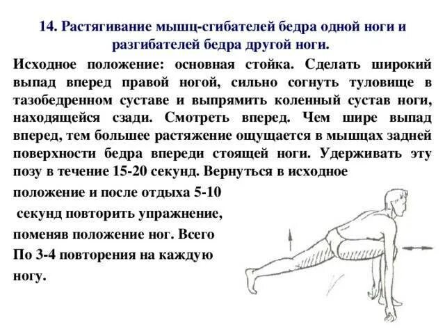 Способность мышцы принимать прежнее положение после растяжения
