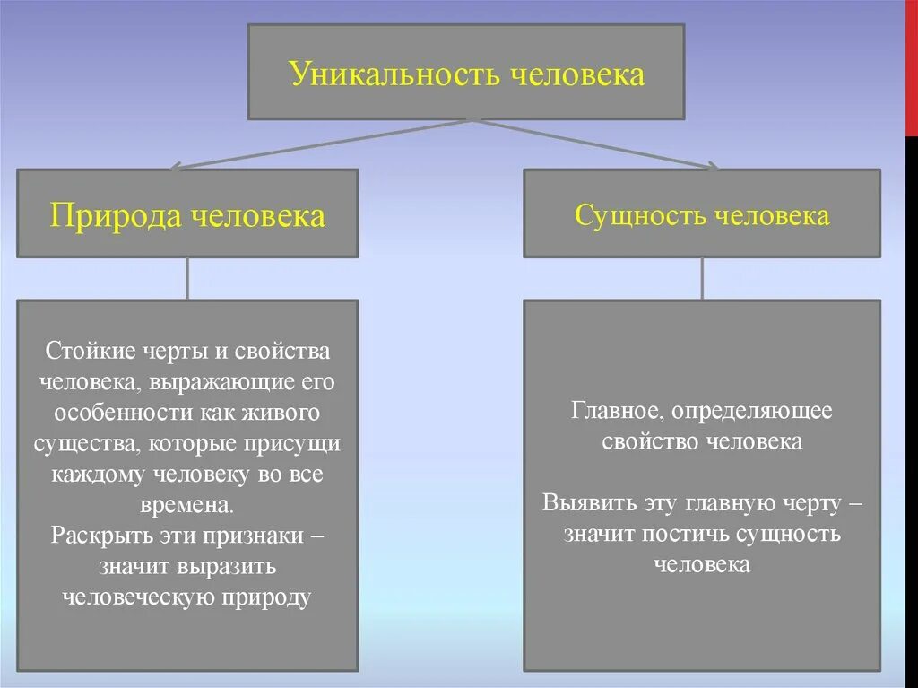 Основные свойства сущности человека. Уникальность человека. Уникальность человека философия. Уникальность человека примеры. Уникальность человека кратко.