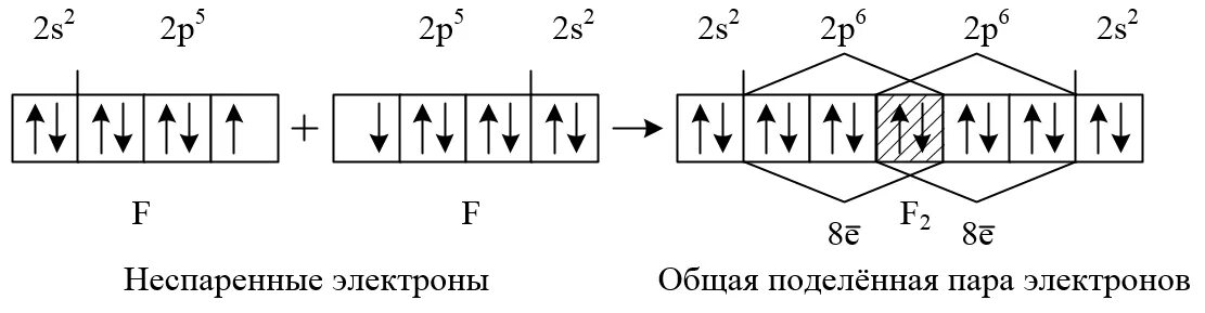 Спаренные и неспаренные электроны. Основные положения метода валентных связей. Неспаренные электроны. Метод валентных схем.