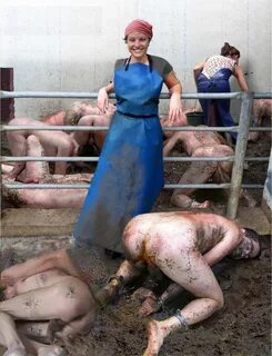 Sex porno farm slaughter of pigs ❤ Best adult photos at prod-cm.hardees.com
