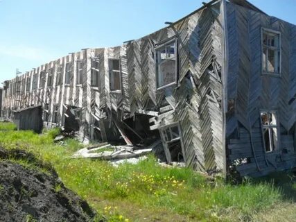 Голубов пахачи пикабу