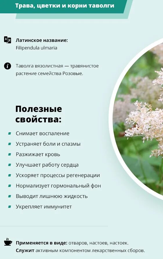 пырей ползучий корневища 30г. лабазник лекарственное растение. трава пастушья сумка лрс. пырей луговой. тархун (эстрагон или полынь эстрагонная).