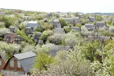 Садоводческое товарищество председатель