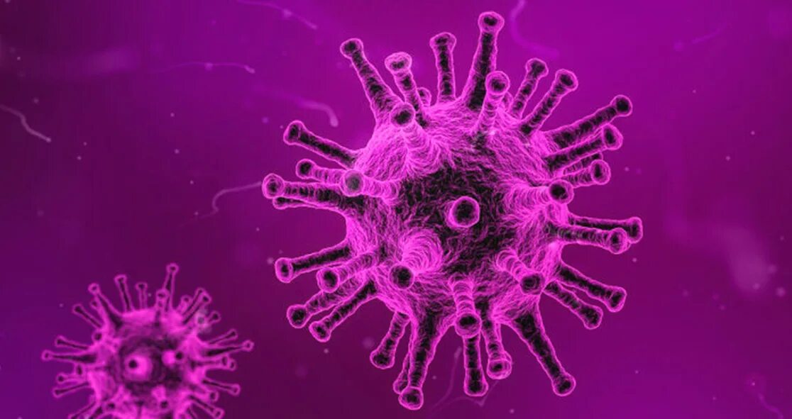 Вирус Эпштейна-Барр под микроскопом. Вирус Эпштейна-Барр фото вируса. Вирус арт. Cell virus