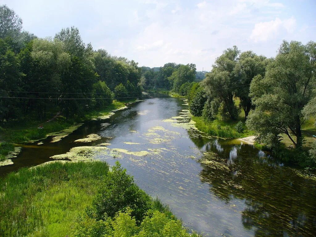 Река псёл Сумы. Река Псел Сумская область. Псел в Сумах. Река Псел Украина. Сумы сумская область