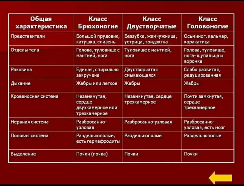 Проследить эволюцию