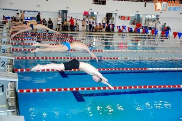 Бассейн зодчий тюмень официальный сайт. Ск зодчий тюмень бассейн. Стиль жизни тюмень бассейн. Бассейн сибай. Бассейны в тюмени на молодогвардейцев.