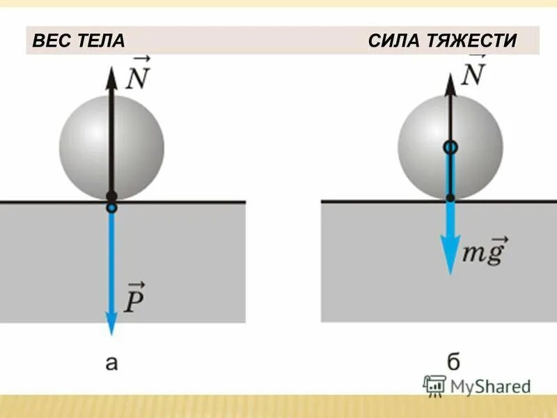 Какому телу приложен вес тела. Различия силы тяжести и веса тела. Вес и сила тяжести разница. Изображение силы тяжести и веса тела. Сила тяжести и вес тела отличие.