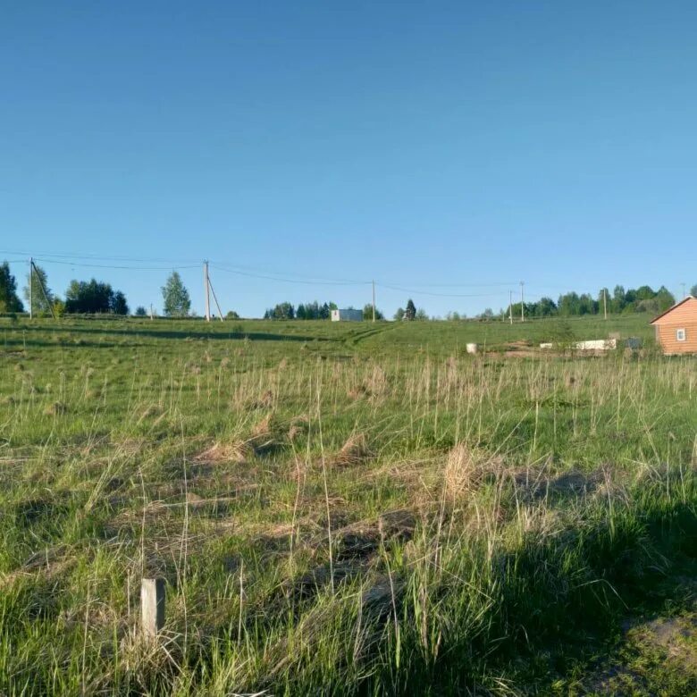 Козлово московская область. Шаховская козлово. Шаховская козлово. Деревня неданово. Шаховская козлово.