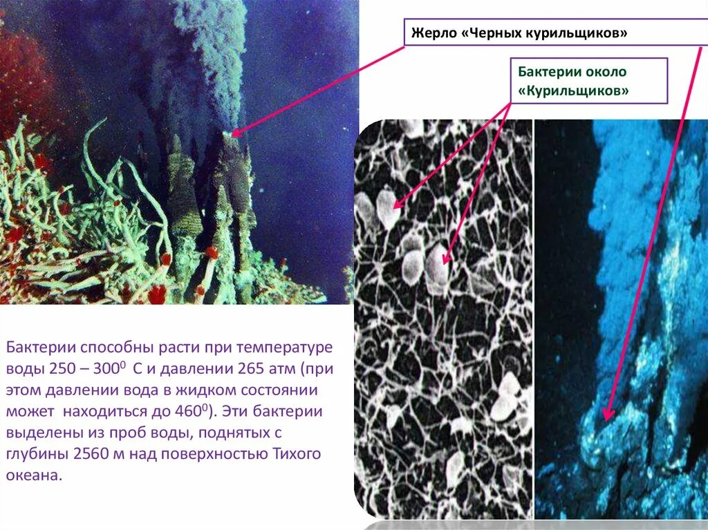 Вода вокруг черных курильщиков