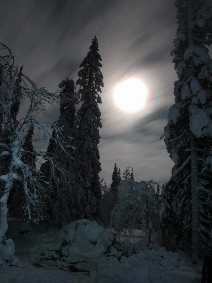 холодные ночи белого 2