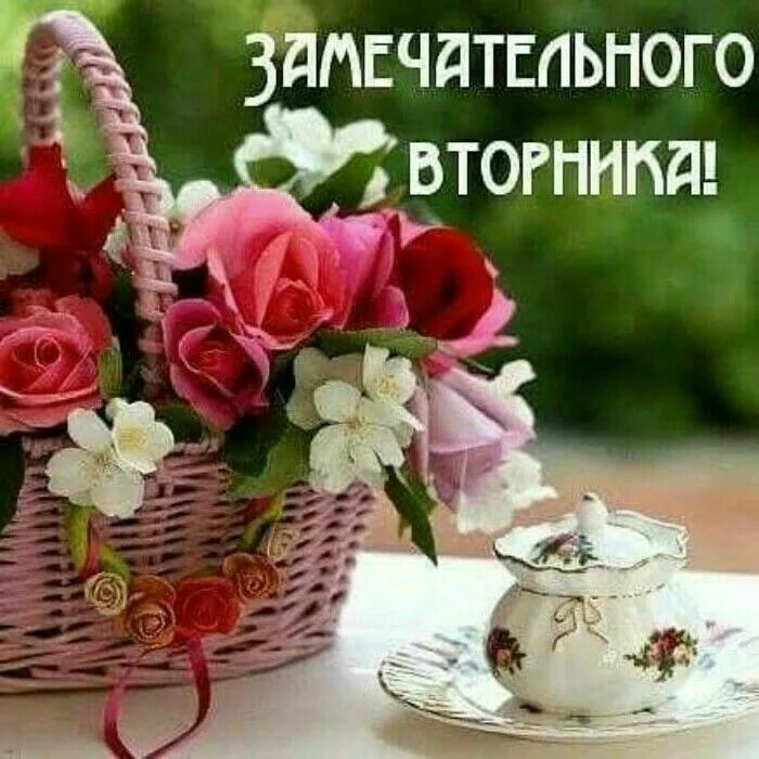 Доброго вторника хорошего дня и прекрасного настроения