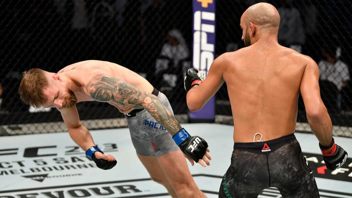 Mma ufc 306