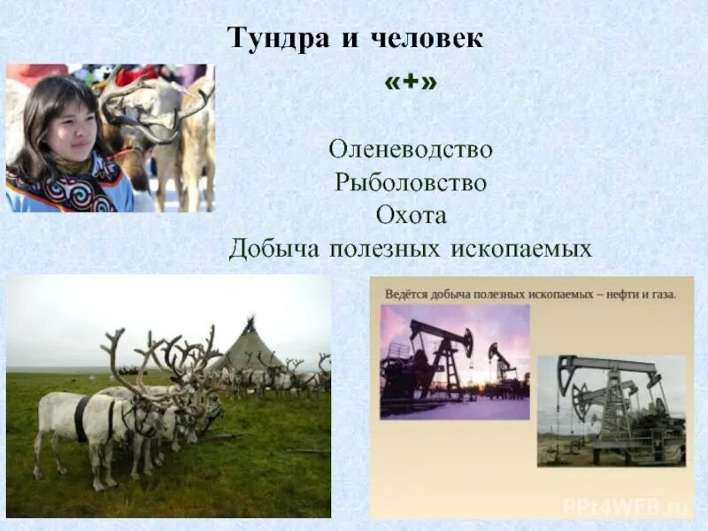 Хозяйственная деятельность тундры в россии. Деятельность человека в тундре. Занятия людей в тундре. Тундра и человек презентация. Презентация на тему человек и тундра.