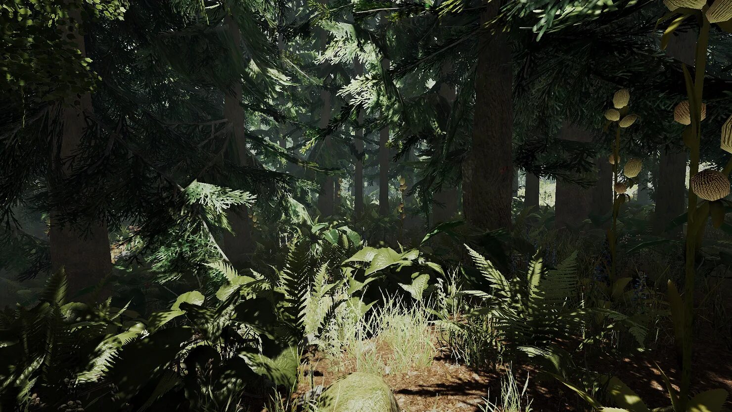 P forest. Форест лес из игры. зе форест 3. зе форест 4. forest 2 игра.