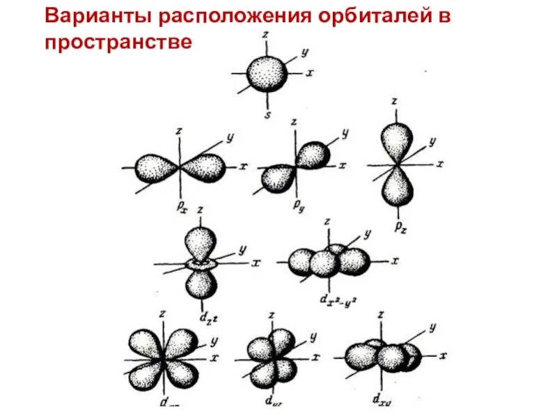 S орбиталь p орбиталь. Строение орбиталей s p d f. Строение атома орбитали. Строение орбиталей серы. Орбитали в химии 8 класс.