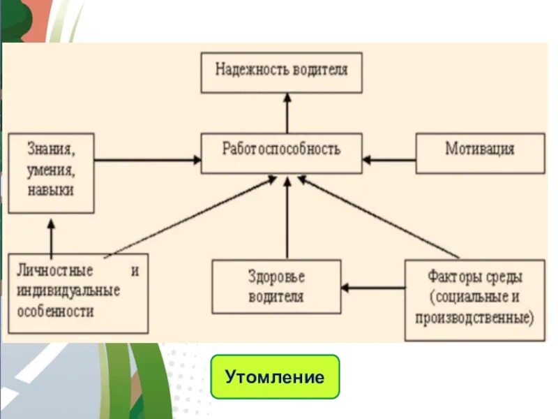 Составляющие надежности. Надежность водителя. профессиональная надежность водителя. основные составляющие надежности водителя. факторы влияющие на надежность.