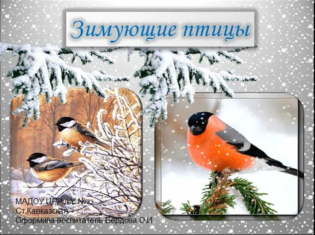 Альбом зимующие птицы. Надпись зимующие птицы. титульный лист зимующие птицы. альбом зимующие птицы для детского сада. зимующие птицы титульник.
