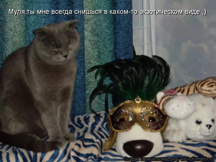 Постоянно вижу 17. Муля ты мне снишься в экзотическом. Ты мне всегда снишься в каком-то экзотическом виде. Ты мне снишься в экзотическом виде. Мамочка вы мне всегда снитесь в экзотическом виде полосатый.