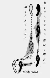 Танго основные шаги