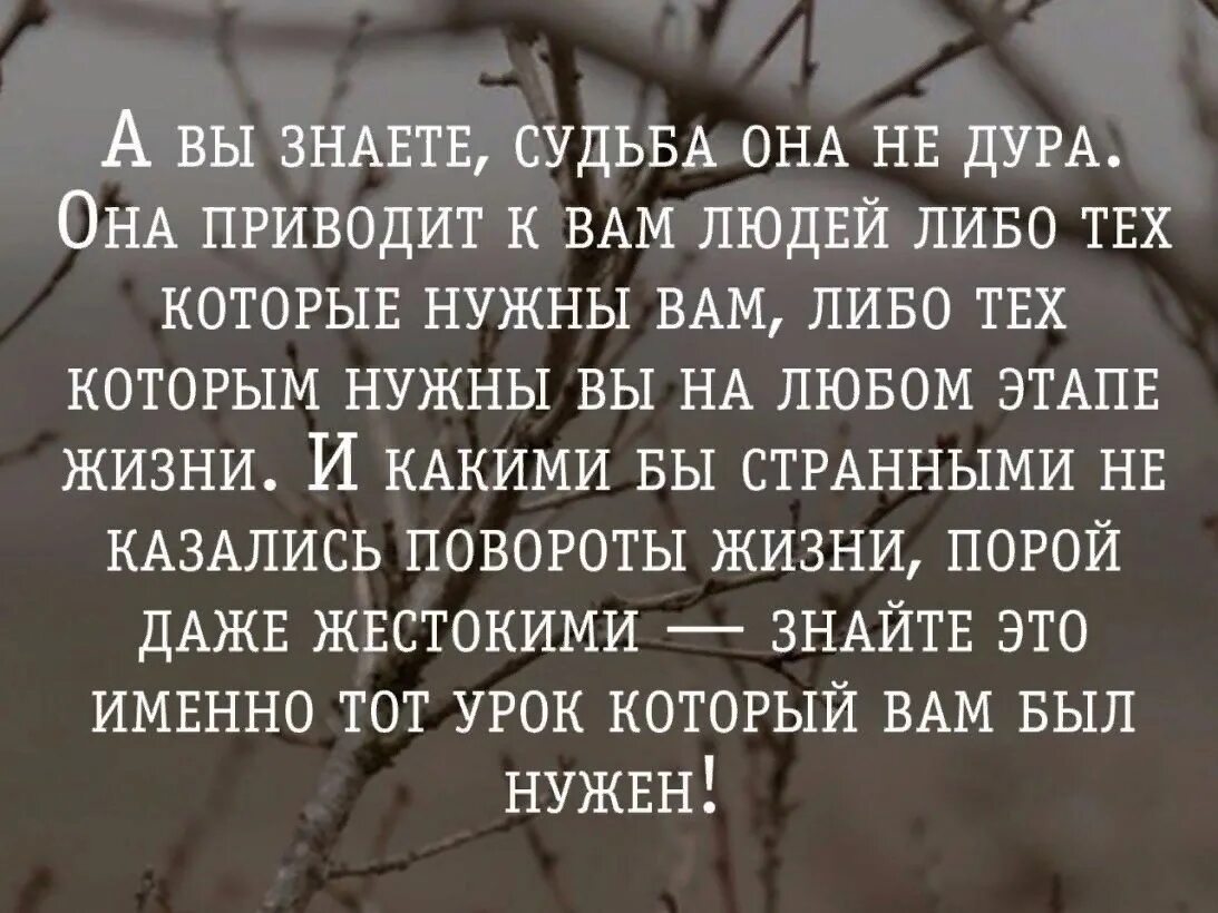 Жизнь и судьба проблема. Стихи о жизни и судьбе. Стих про человеческую жизнь. Люди живите своей жизнью цитаты. Фразы про судьбу.