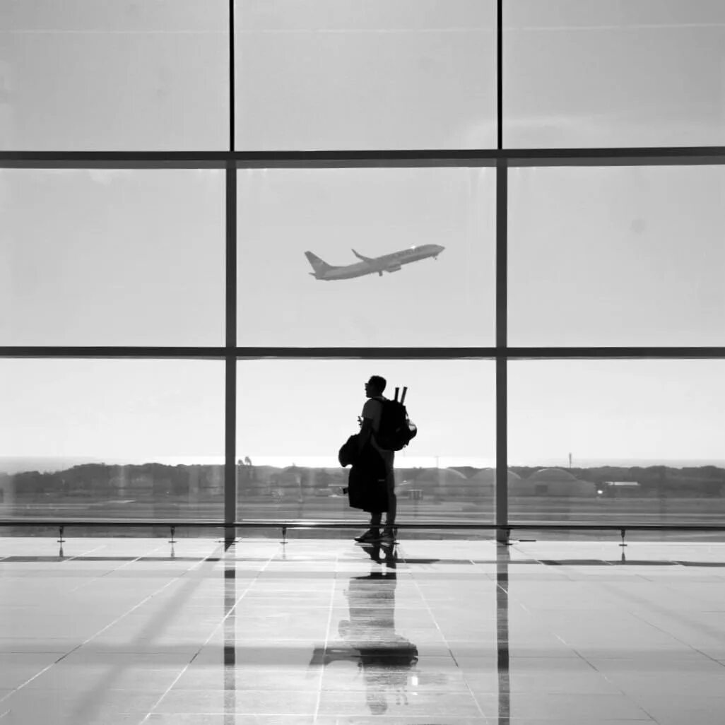 Давай улетим самолет или коньяк. Далекие близкие соснин. Девушка птица. Странник в горах. Давай улетим самолет или текила.