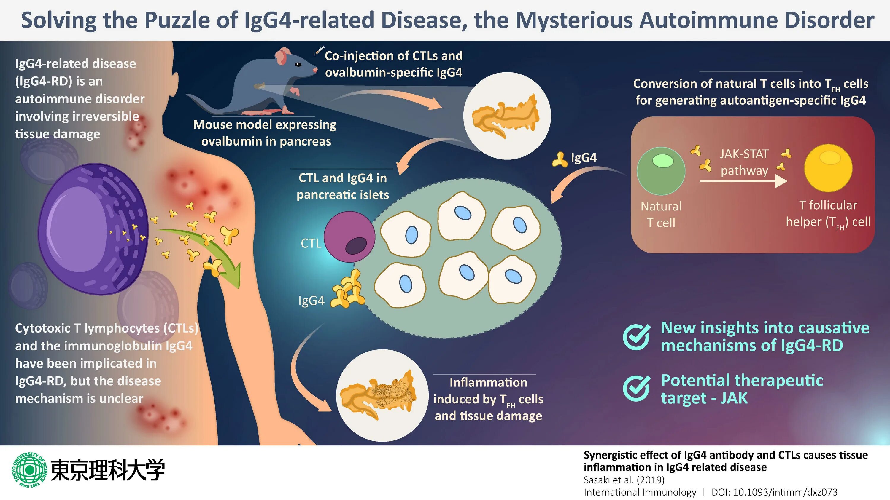 IGG ассоциированные заболевания. Аллергия igg4. Igg4-ассоциированный сиалоаденит. Аллергены igg4