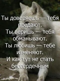 Ты не верь цветам