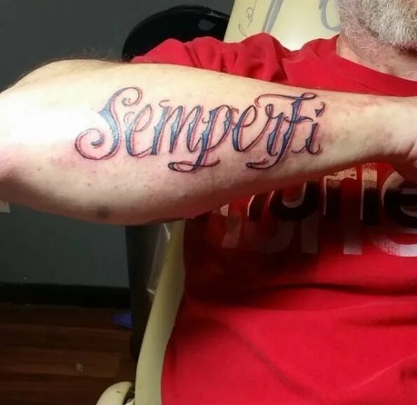 Семпер фай