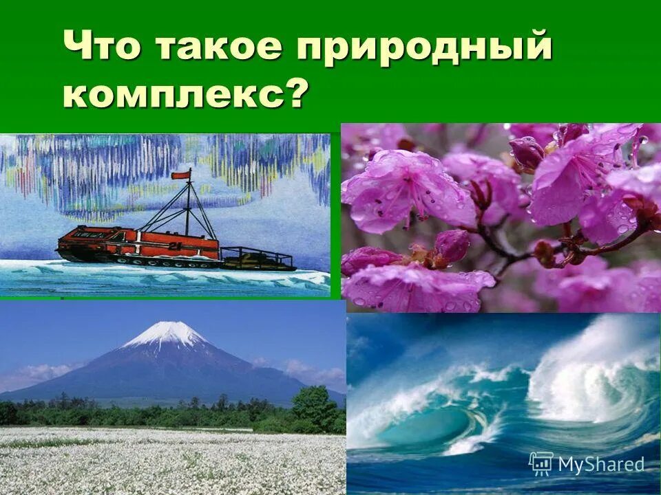 Природные комплексы. Искусственные природные комплексы. Природный территориальный комплекс. Чем меньше природный комплекс тем он