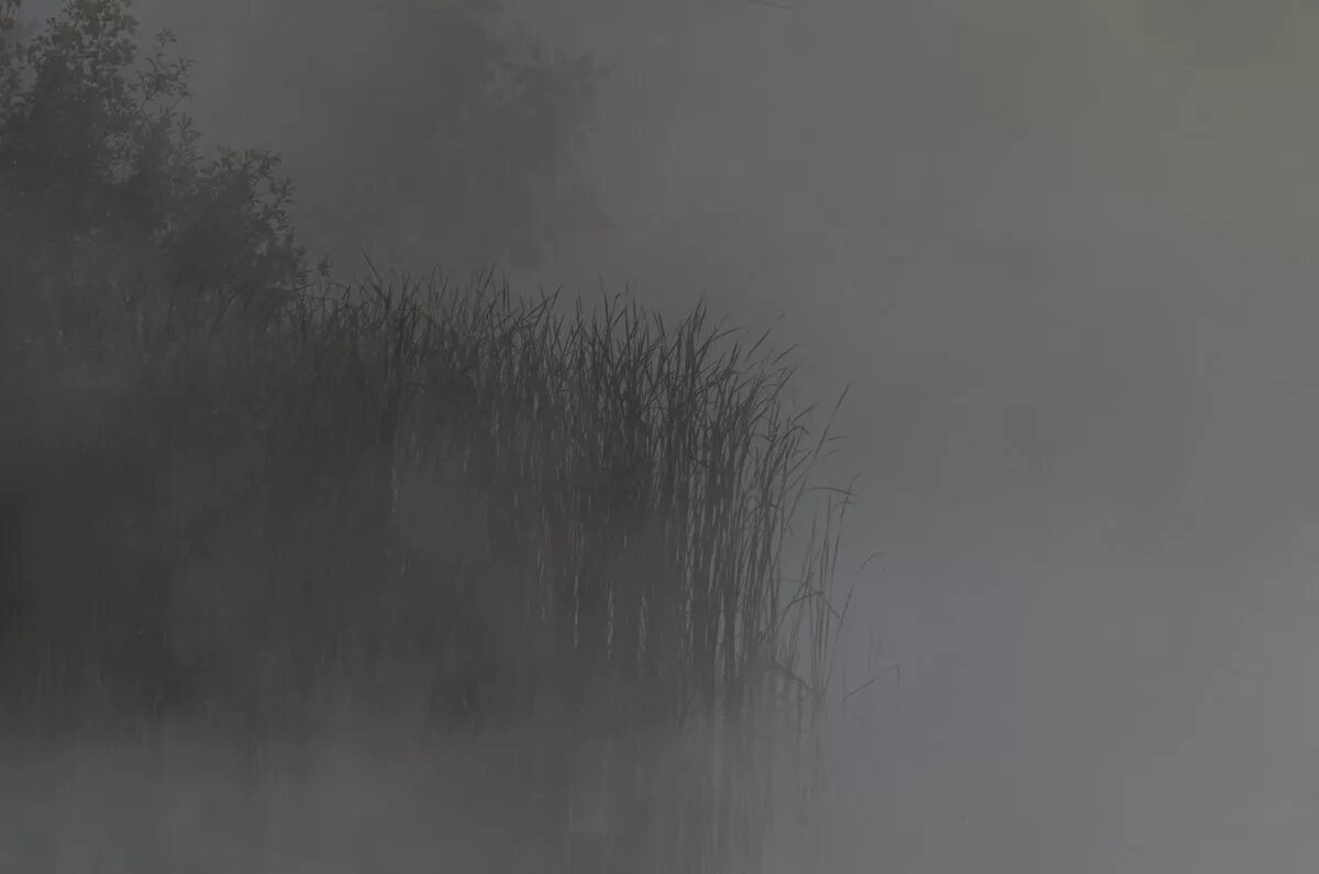 при движении в тумане расстояние до предметов представляется. туманный правило. туманный правило. туман. как определить сколько н в прил.