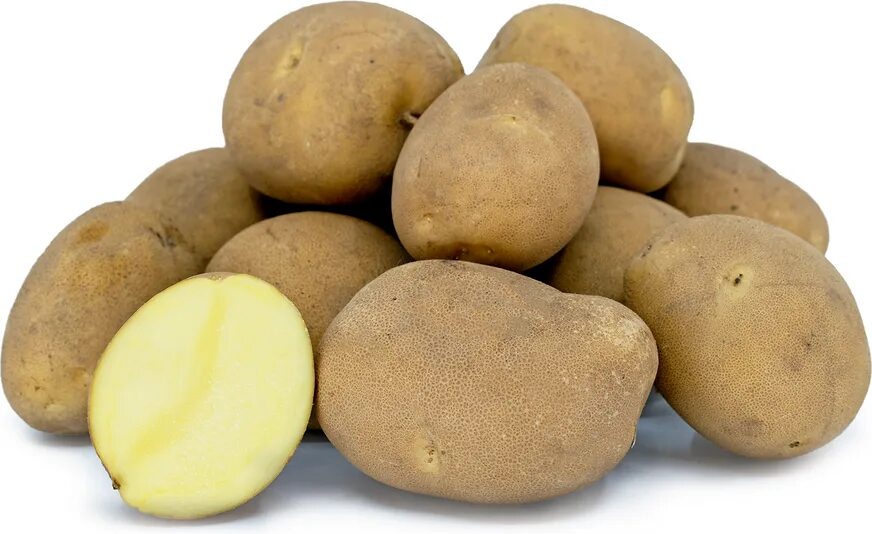 Сорт картофеля арроу характеристика отзывы. Сорт картофеля арроу характеристика отзывы. Сорт картофеля арроу характеристика отзывы. Сорт картофеля арроу характеристика отзывы. Сорт картофеля арроу характеристика отзывы.