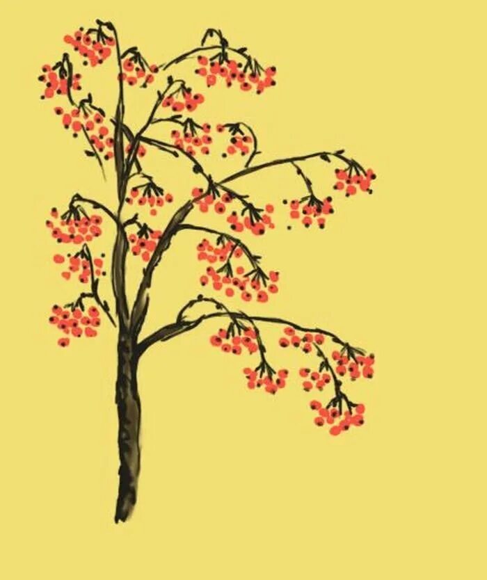Шаблон дерева рябины. Рисование дерева рябины. рябина дерево рисунок. рисовать рябину дерево. рябиновое дерево рисунок.