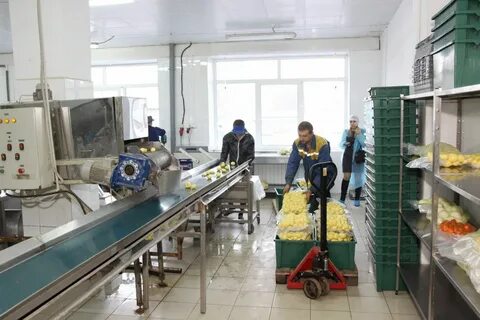 Комбинат детского питания иваново