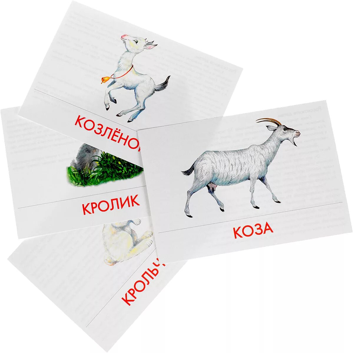 Карточки "домашние животные". Дидактические карточки домашние животные. Карточки домашних животных и их детенышей. Набор карточек домашних животных.