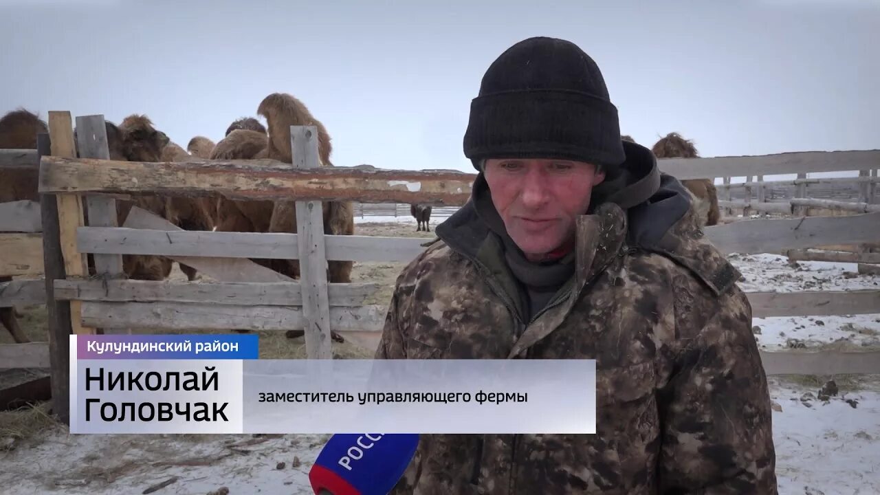 Златополь алтайский край кулундинский. Погода в алтайском крае кулундинском районе. Кулунда алтайский край фото города. Мемориал победы кулунда. Алтайский край кулунда село курск.