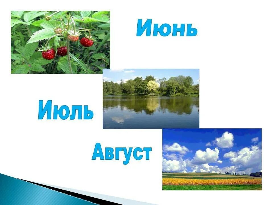 Использовать июль. Летние месяцы. летние месяцы для детей. лето июнь июль август. июнь июль август летние месяцы.