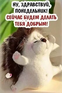 Позитивные открытки понедельник