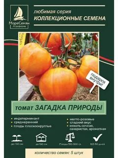 Томат загадка характеристика и отзывы фото урожайность