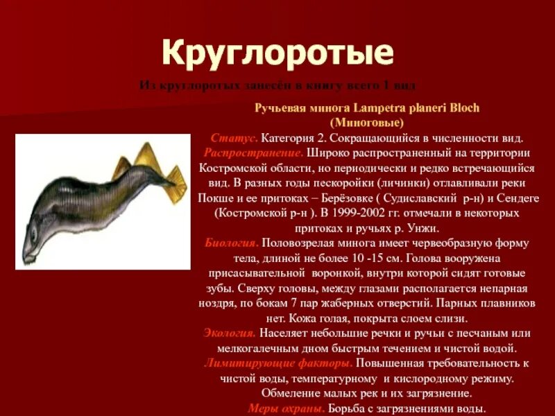 2 сокращающиеся в численности. Сокращение численности или штата работников организации. 2 сокращающиеся в численности. Сокращение численности животных. Категории красной книги.