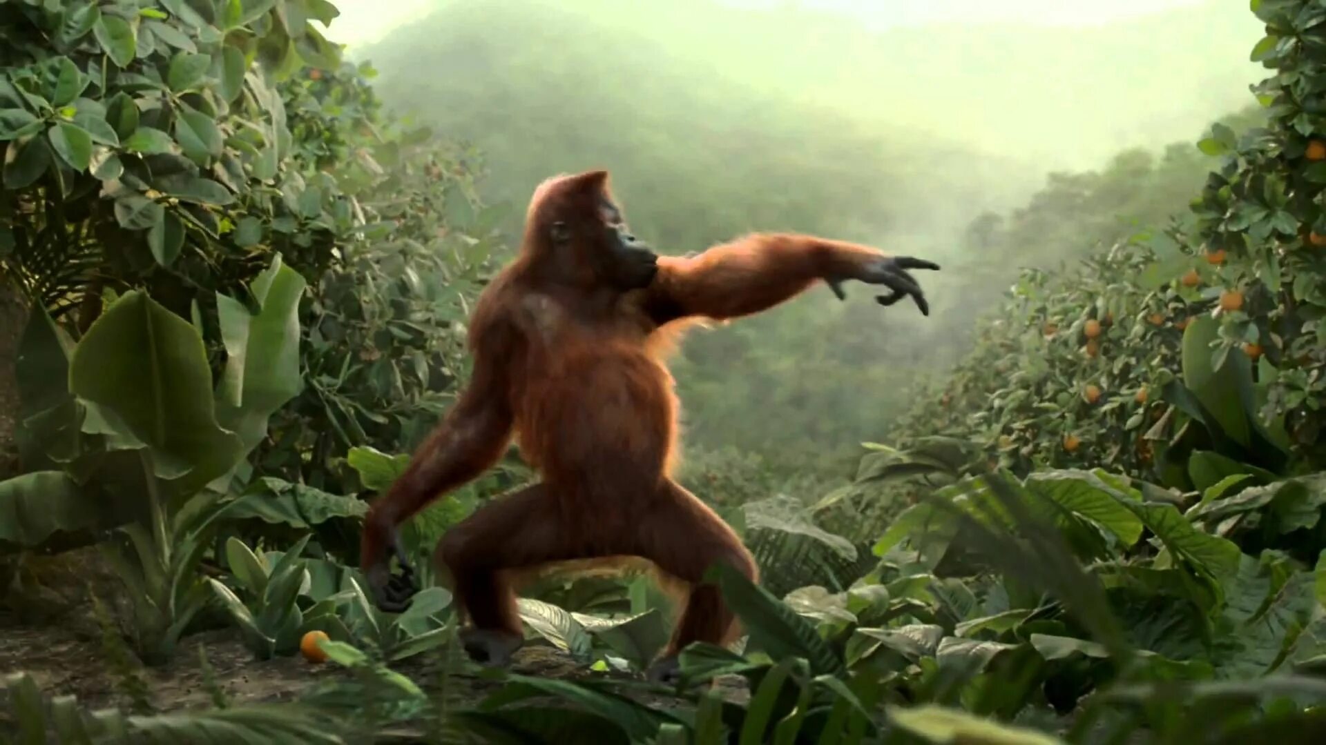 Танцующая обезьянка. Обезьяна танцует. Орангутанг танцует. Танцующая горилла. Включи песни видео веселые видео