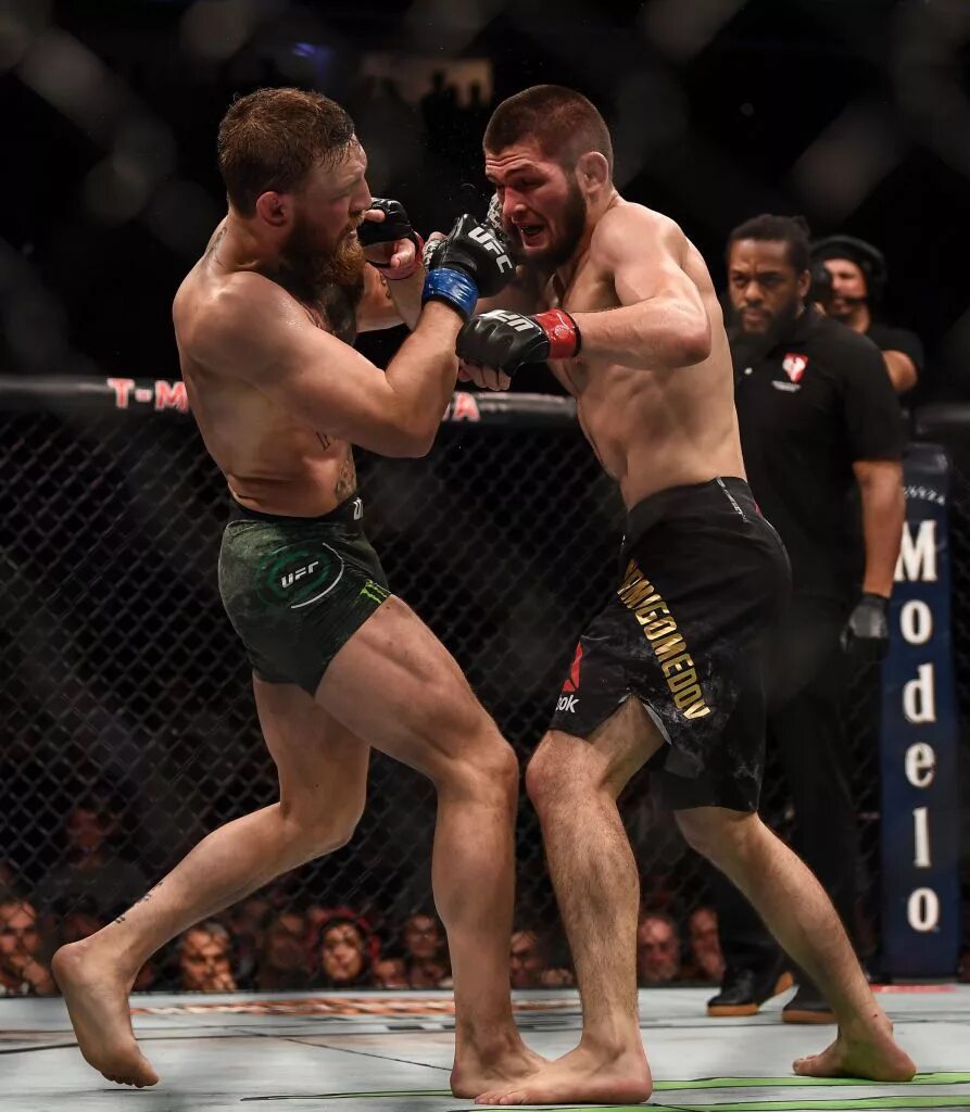 Конор макгрегор победит хабиба. Конор макгрегор ufc 229. конор макгрегор бой с хабибом.