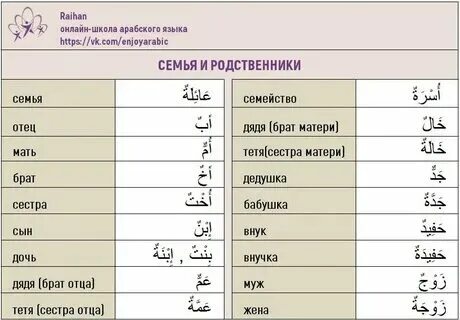 Почему арабский язык называли латынью востока ответ