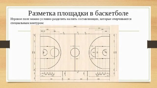 Размер баскетбольной площадки в баскетболе. Разметка баскетбольной площадки 20х10. Разметка волейбольной и баскетбольной площадки в спортивном зале. Разметка спортивного зала в школе 9 на 18 баскетбол. Разметка баскетбольной площадки 26х14.