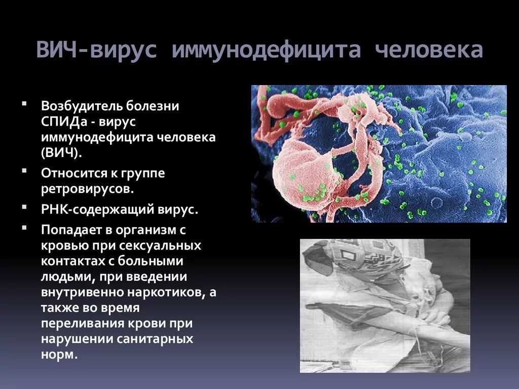 Вирус СПИД И человек динамика борьбы. Проект вирус СПИД И человек. Вирус попадает в организм. Как вирус попадает в организм человека.