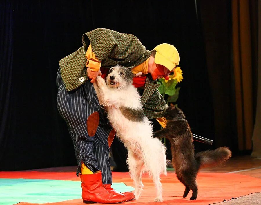 Театр кошек Куклачева. Цирк кошек Куклачева. Animals theatre