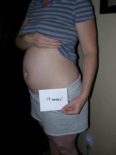Живот на 19 неделе беременности. Ребёнок 19 недель беременности в животе. 19 Недель беременности фото плода в животе. Размер живота на 19 неделе беременности.